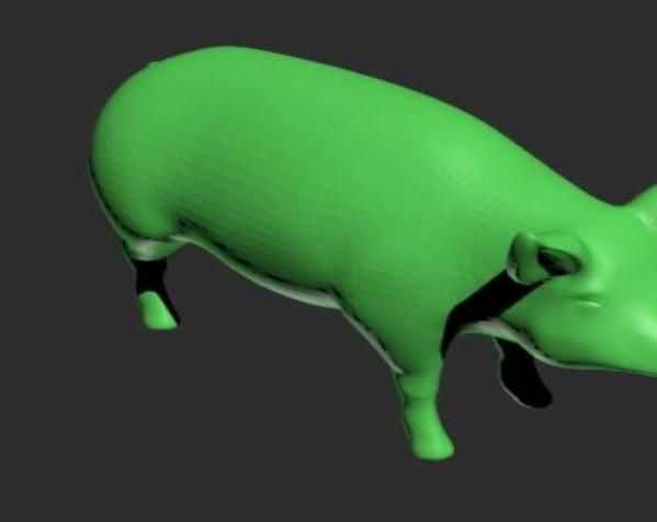 自然界野猪模型 3D打印模型渲染图