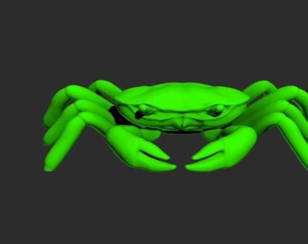 海滩大螃蟹模型 3D打印模型渲染图