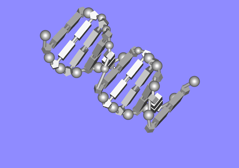 高中生物DNA雙螺旋結(jié)構(gòu)模型