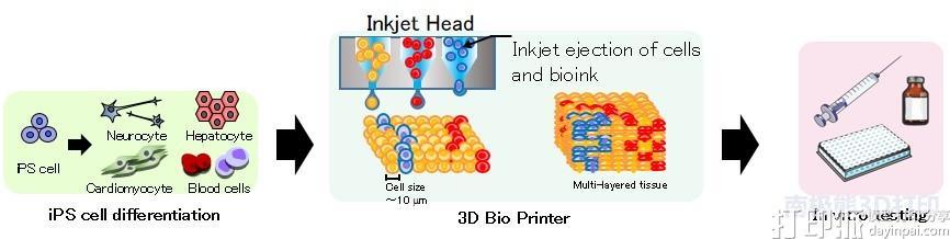 日本理光投资生物技术公司 将拓展生物3D打印领域