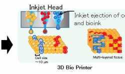 日本理光投資生物技術(shù)公司 將拓展生物3D打印領(lǐng)域