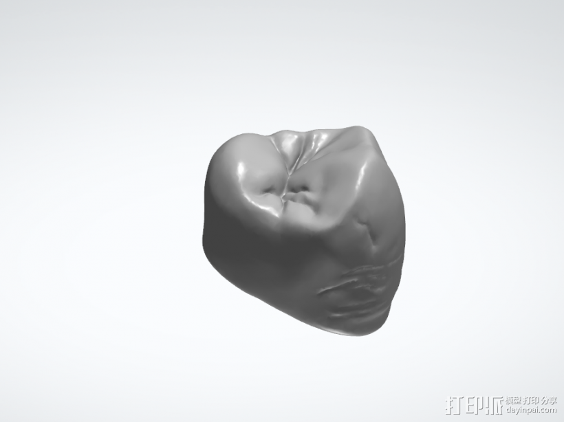 牙齿24。STL数据 3D打印模型渲染图