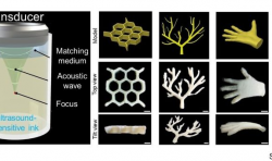 超聲波增強(qiáng)了深層組織應(yīng)用中的3D打印能力