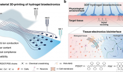 3D打印用于生物電子學的導電聚合物水凝膠