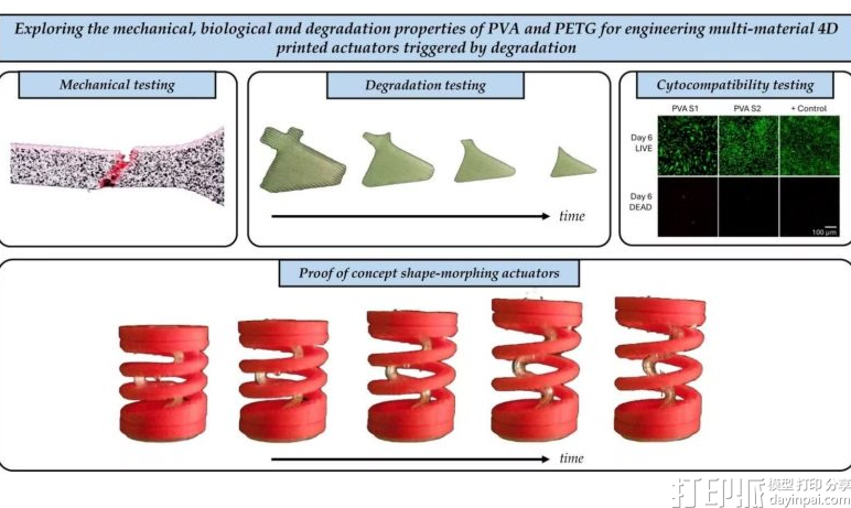 研究人员利用PETG与PVA开发可降解4D打印执行器