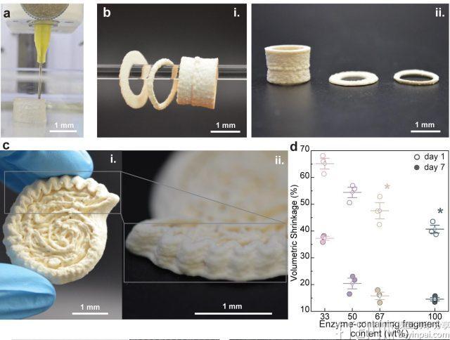 EPFL研发3D打印骨支架：酶驱动室温矿化，一周内可承重