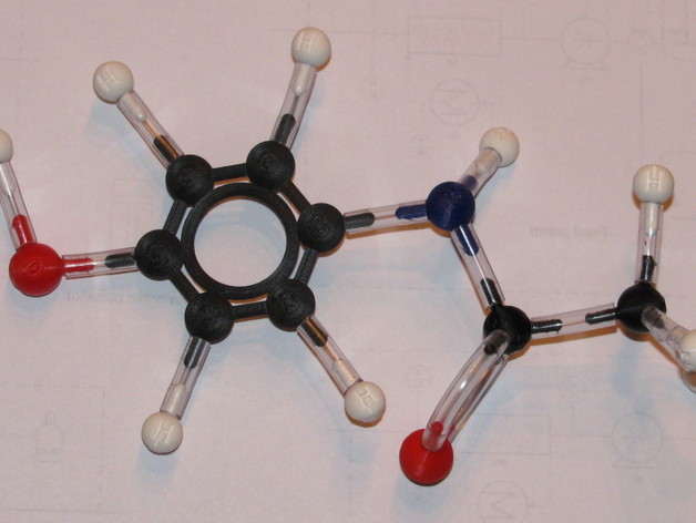 分子模型