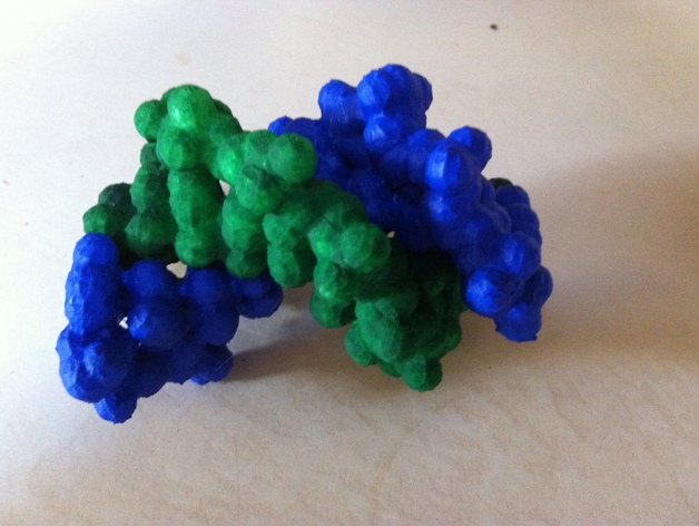 DNA分子模型