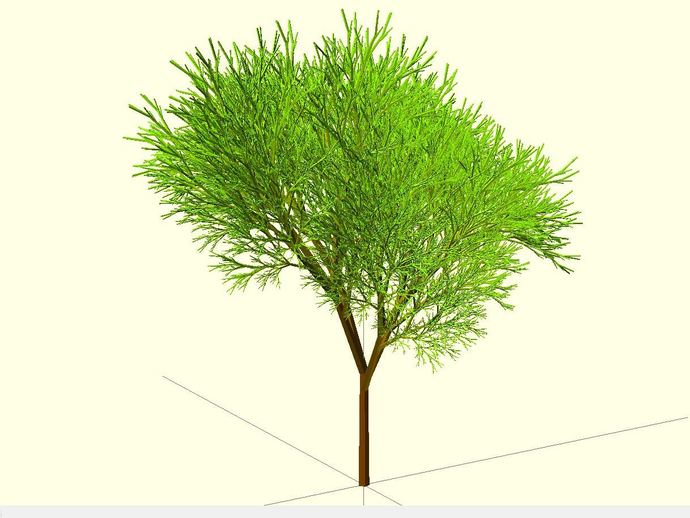 树 模型