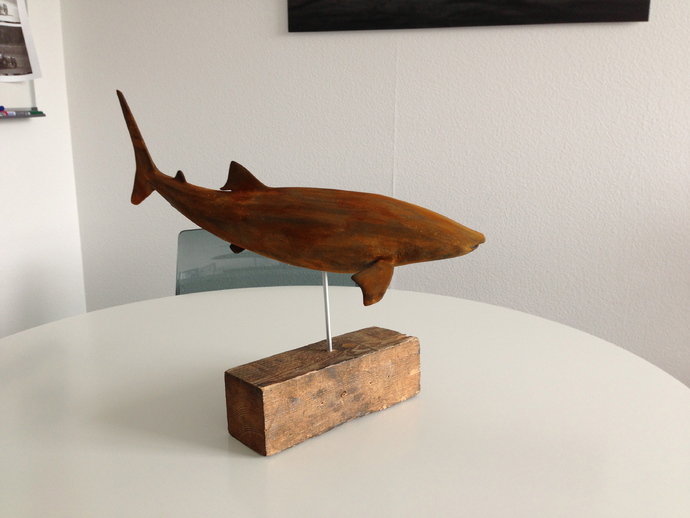 鲸鲨模型