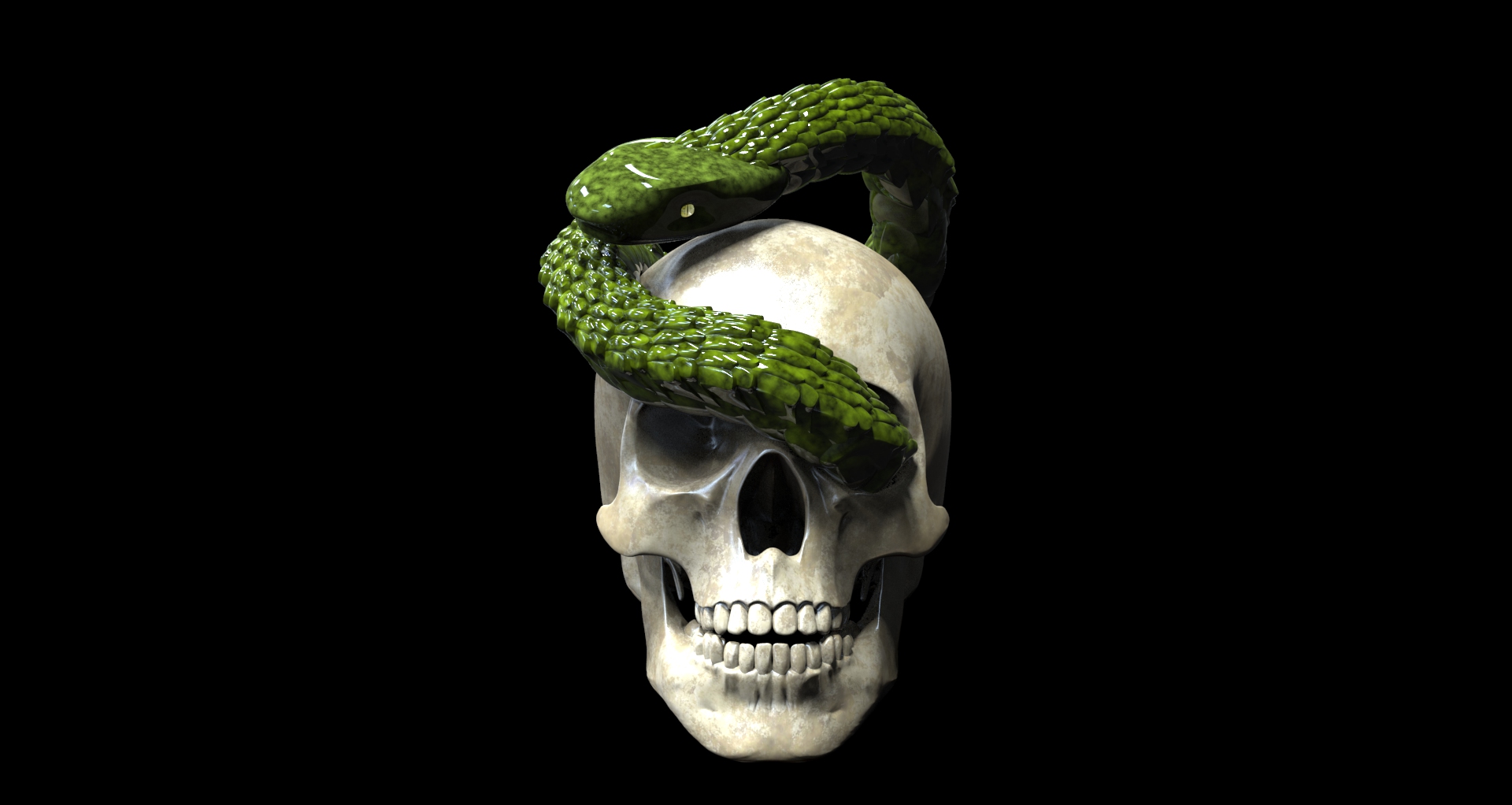 骷髅与蛇