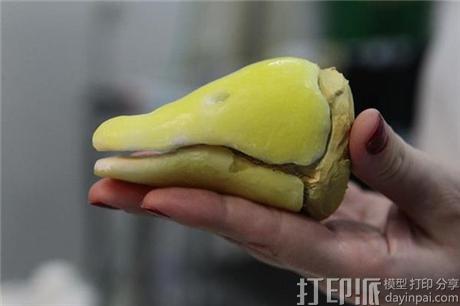 巴西鹅装上3D打印鸟喙 恢复往日活力.jpg