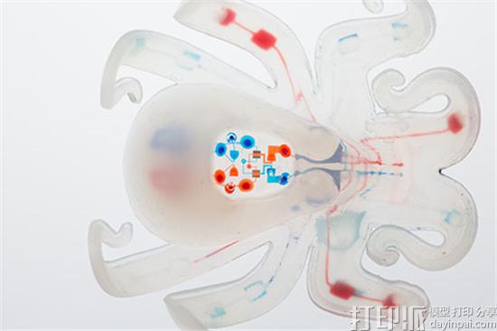 octobot-500x333.jpg