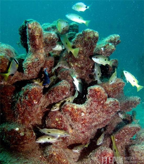 3D-printing-breathes-new-life-into-oceans-artificial-reefs-4.jpg