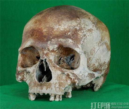 500-year-old-mary-rose-shipwreck-skulls-exhibited-online-for-the-first-time-through-3d-scanning.jpg