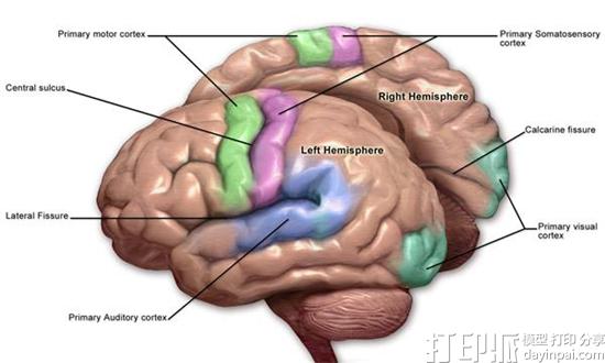 one-mans-quest-to-3d-print-a-brain-implant-that-will-save-millions-2.jpg
