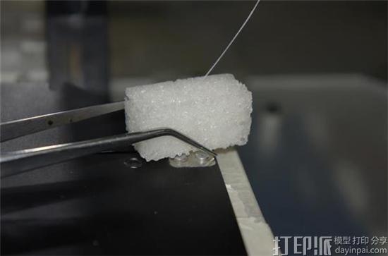 puebla-researchers-unveil-new-3d-printable-implant-material-that-facilitates-bone-regeneration-1.jpg
