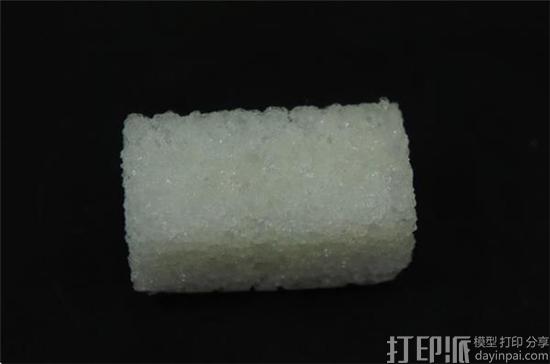 puebla-researchers-unveil-new-3d-printable-implant-material-that-facilitates-bone-regeneration-3.jpg