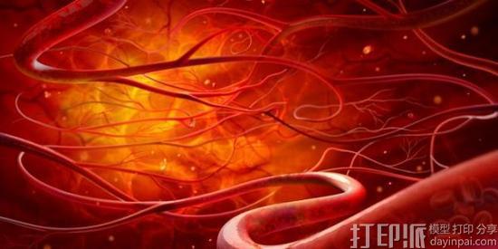 1474192973986185.jpg PNPP-fxmifze7600246.jpg