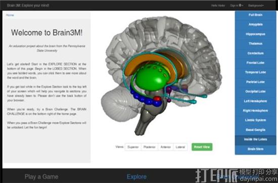 1474256041167049.jpg penn-state-turns-to-3d-printing-to-teach-students-about-brains-in-brain3m-educational-program-2.jpg