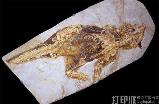 3d-imaging-used-to-reconstruct-camouflage-pattern-of-120-million-year-old-psittacosaurus-1.jpg