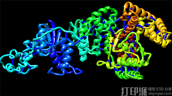 美国布兰迪斯大学3D打印复杂分子结构模型辅助教学.png 美国布兰迪斯大学3D打印复杂分子结构模型辅助教学.png