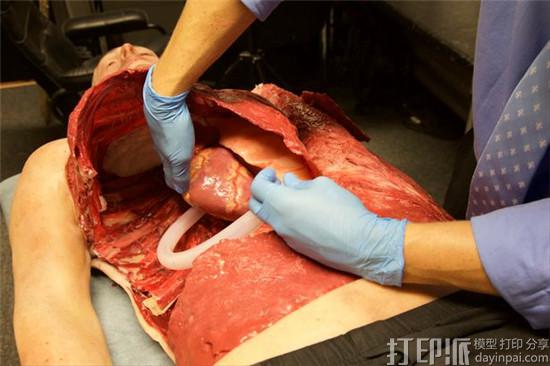 breathing-bleeding-3d-printed-patient-could-help-military-surgeons-save-lives-on-battlefield-6.jpg