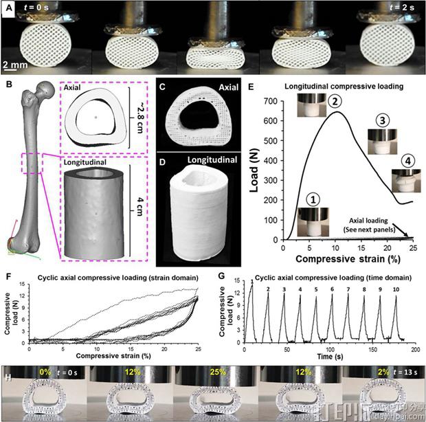 科学家开发出高弹性的3D打印合成骨 个人化骨移植指日可待.jpg