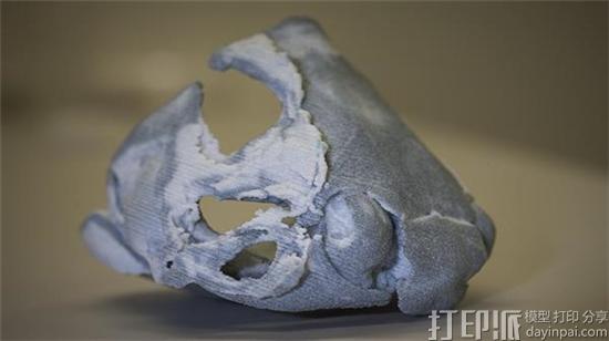3d-printed-fish-fossil-replica-uncovers-clues-about-the-evolution-of-human-teeth-3.jpg