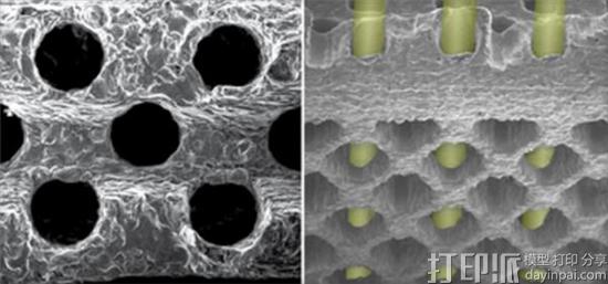fda-approves-70-percent-porous-3d-printed-titanium-spinal-implants-k2m-2.jpg