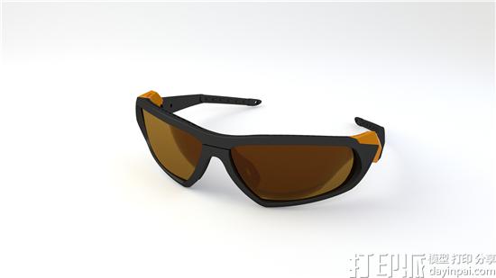 极地探险家佩戴SEIKO 3D打印眼镜穿越北极.jpg
