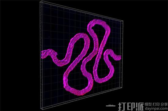 生物3D打印一大进步!哈佛大学科学家3D打印出“活的”人体肾脏模型.jpg 生物3D打印一大进步!哈佛大学科学家3D打印出“活的”人体肾脏模型.jpg