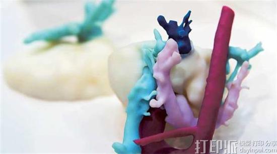 迪拜计划于2017年实现在其所有医院中应用3D打印技术.jpg 迪拜计划于2017年实现在其所有医院中应用3D打印技术.jpg