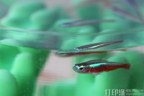 1476781929798168.jpg 2016070816104474468180.jpg