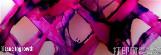 荷兰科学家开发出可控制干细胞分化方向的3D生物打印支架.jpg 荷兰科学家开发出可控制干细胞分化方向的3D生物打印支架.jpg