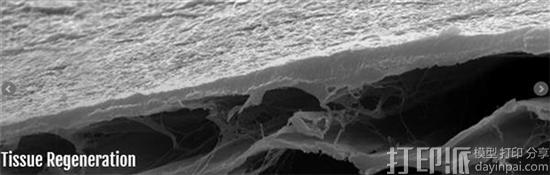 1476841275700144.jpg maastricht-moroni-lab-pioneers-3d-bioprinted-scaffolds-tha-control-stem-cell-differentiation-4.jpg