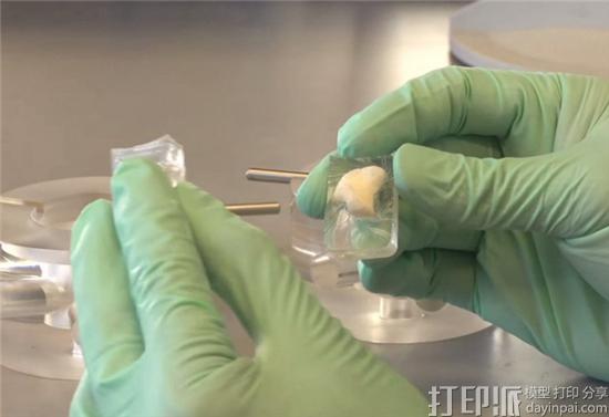 3D生物打印公司EpiBone获数百万美元风投 致力于3D打印人类骨骼.jpg 3D生物打印公司EpiBone获数百万美元风投 致力于3D打印人类骨骼.jpg