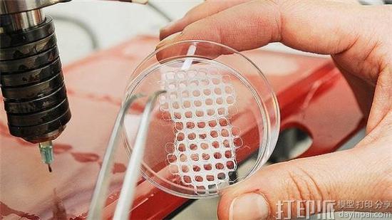 荷兰Maastricht大学启动欧洲最大的3D生物打印研究项目.jpg 荷兰Maastricht大学启动欧洲最大的3D生物打印研究项目.jpg