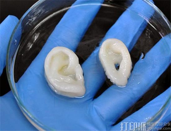 3D生物打印和一般的3D打印之间是什么关系？有什么区别？.jpg