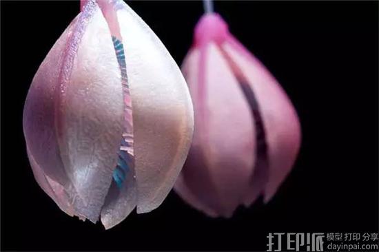 1477626797999893.jpg 6401.jpg