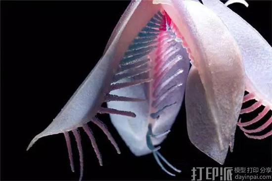 1477626808154042.jpg 640.jpg