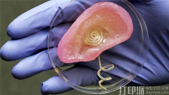 3D打印人体器官是如何打印的?.jpg 3D打印人体器官是如何打印的?.jpg
