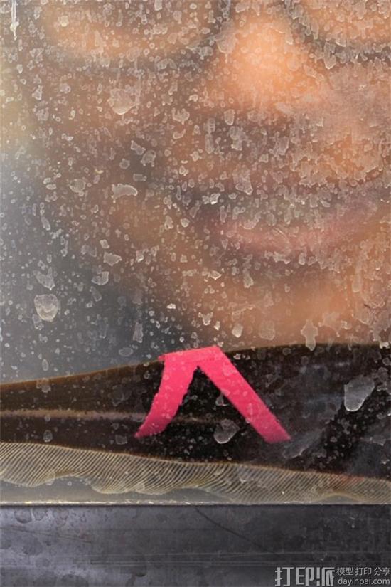 1478585587878307.jpg 3d-printed-backpacks-for-fish-by-nmsu-researchers-provide-valuable-tissue-regeneration-insights-1.jpg