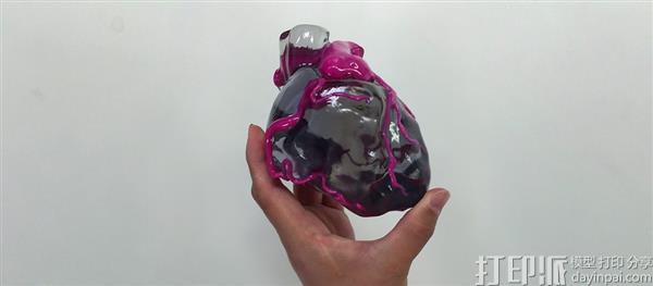 日本博士开发出能创建真实生物纹理器官模型的3D建模软件.jpg