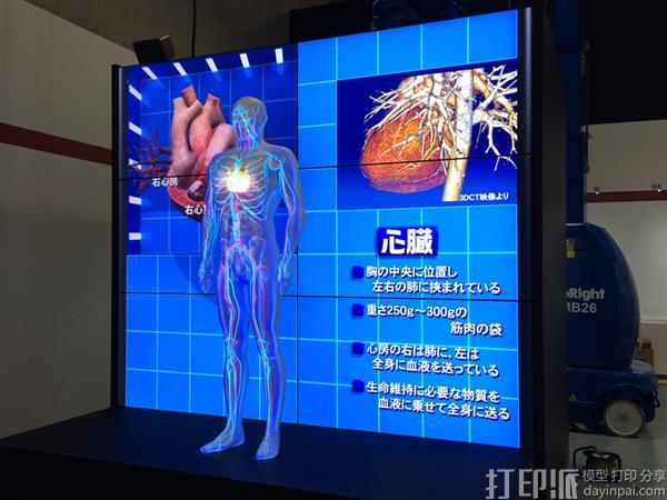maki-sugimoto-3d-prints-educational-organ-replicas-with-realistic-textures-using-bio-texture-modeling-3.jpg