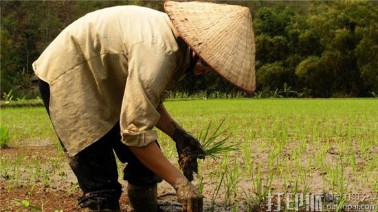 1478829647451501.jpg rice.jpg