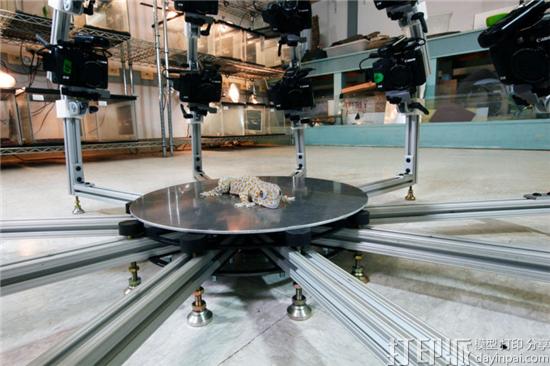 生物学家用3D成像和3D打印技术记录全球所有动物.jpg
