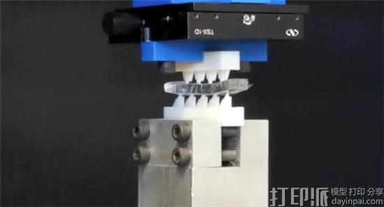amherst-researchers-use-3d-printed-teeth-to-study-evolution-of-earliest-mammals-2.jpg