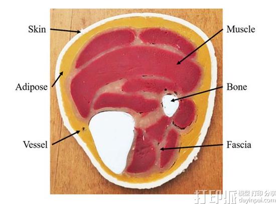new-silicone-3d-printing-process-requires-much-lower-costs-than-casting-4.jpg