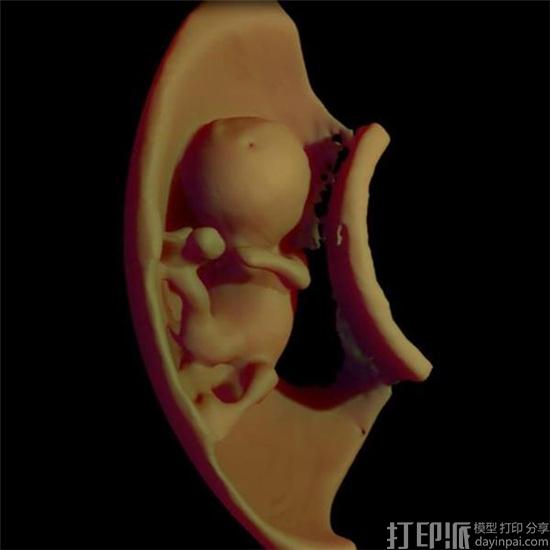 new-scanning-method-allows-parents-see-unborn-children-3d-models-vr-2.jpg